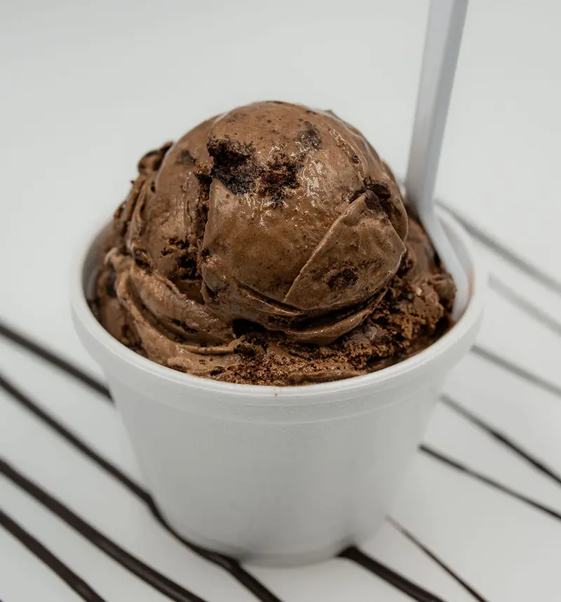 chocolatebrowniefudge-2_800x859