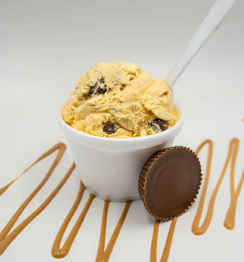peanutbutterpie-2_800x859