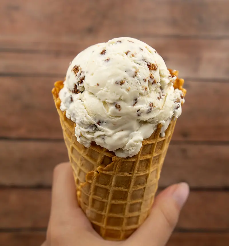 toastedcoconut-2_800x859